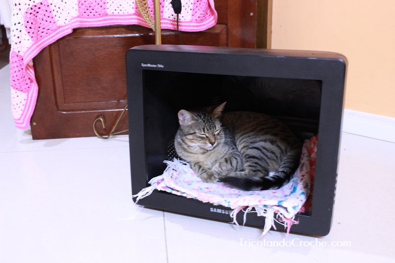 Casinha de Gato feita de Monitor