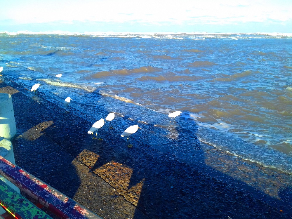 Foto do dia: Mar agitado e frio