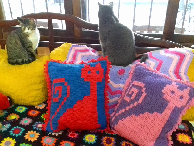 minhas gatinhas no sofá