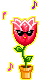 crazy-tulip